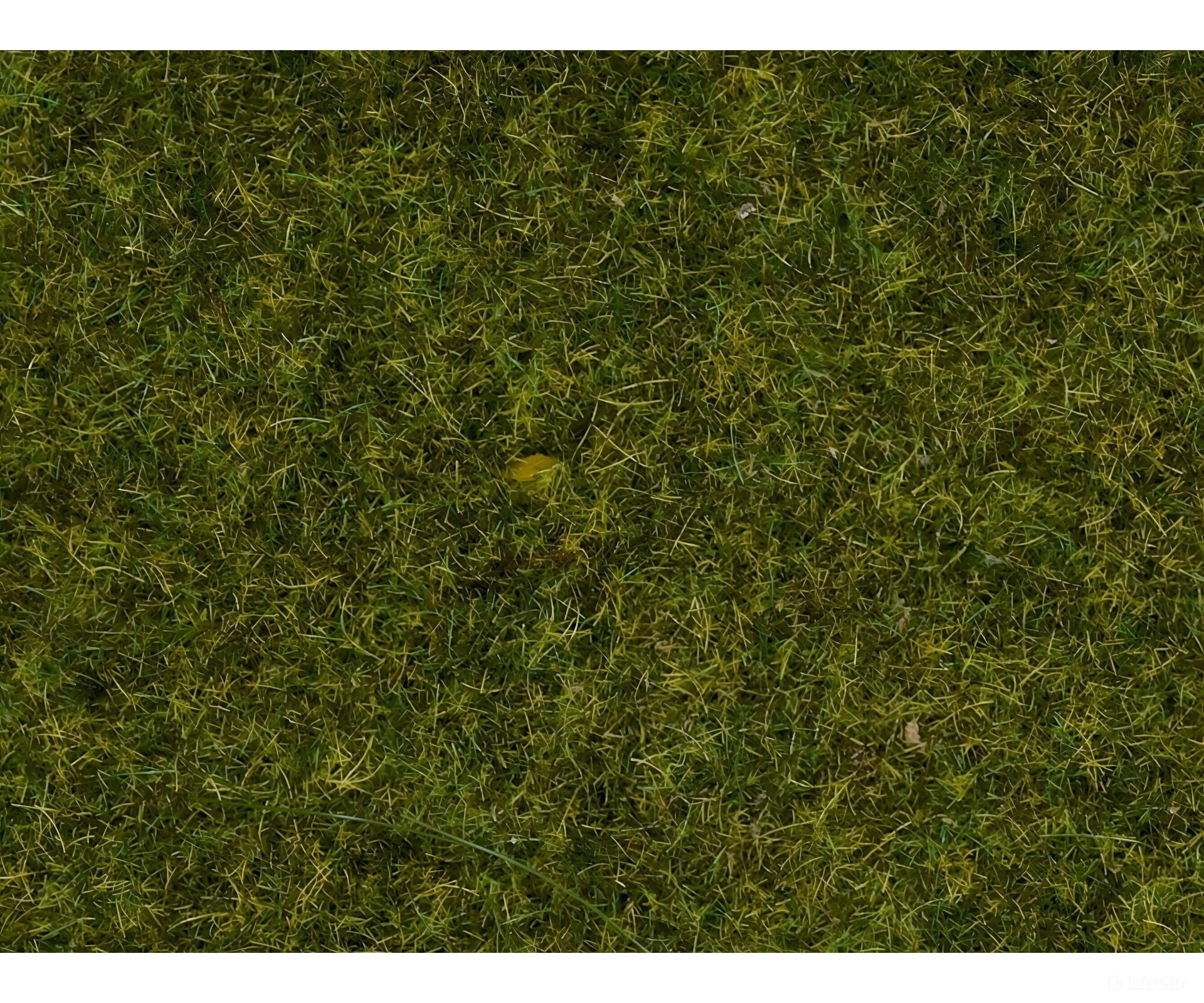 Noch 08212 Scatter Grass ’Meadow’ 1.5 mm Static Grass & Applicators