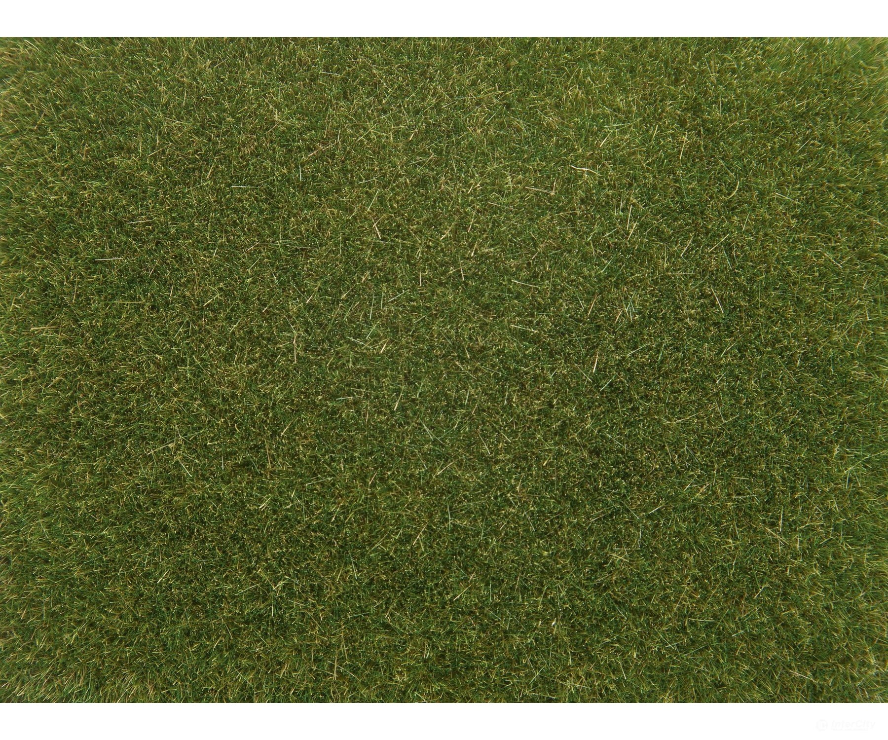 Noch 08364 HO TT N Z O Scatter Grass Medium Green Static Grass & Applicators