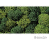 Noch 08610 Lichen Trees & Vegetation