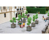 Noch 14013 HO Ornamental Trees in Tubs Trees & Vegetation
