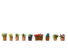 Noch 14084 N Flowers in Flowerpots Trees & Vegetation