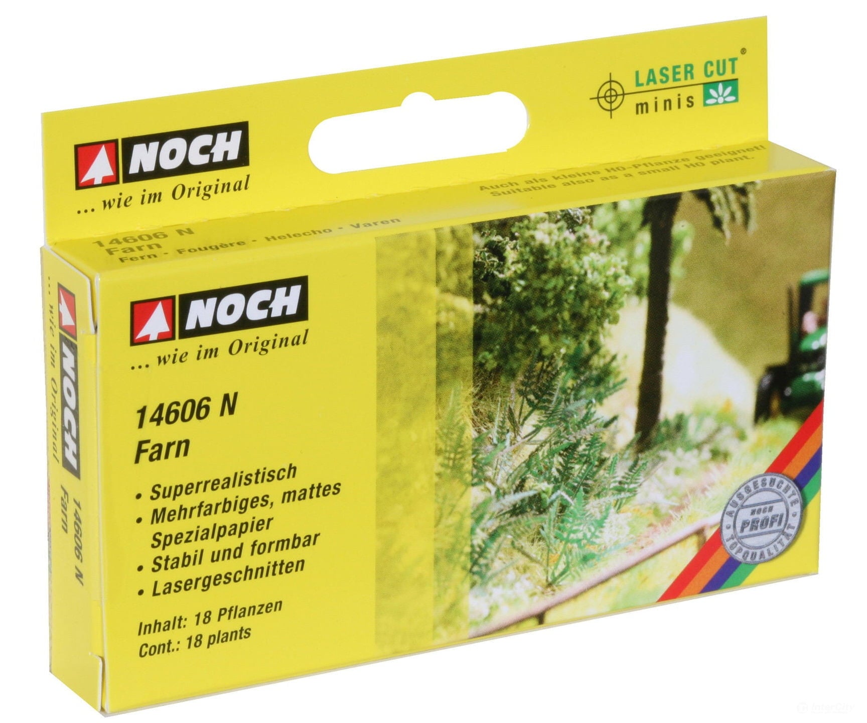 Noch 14606 N Fern Scenery Details