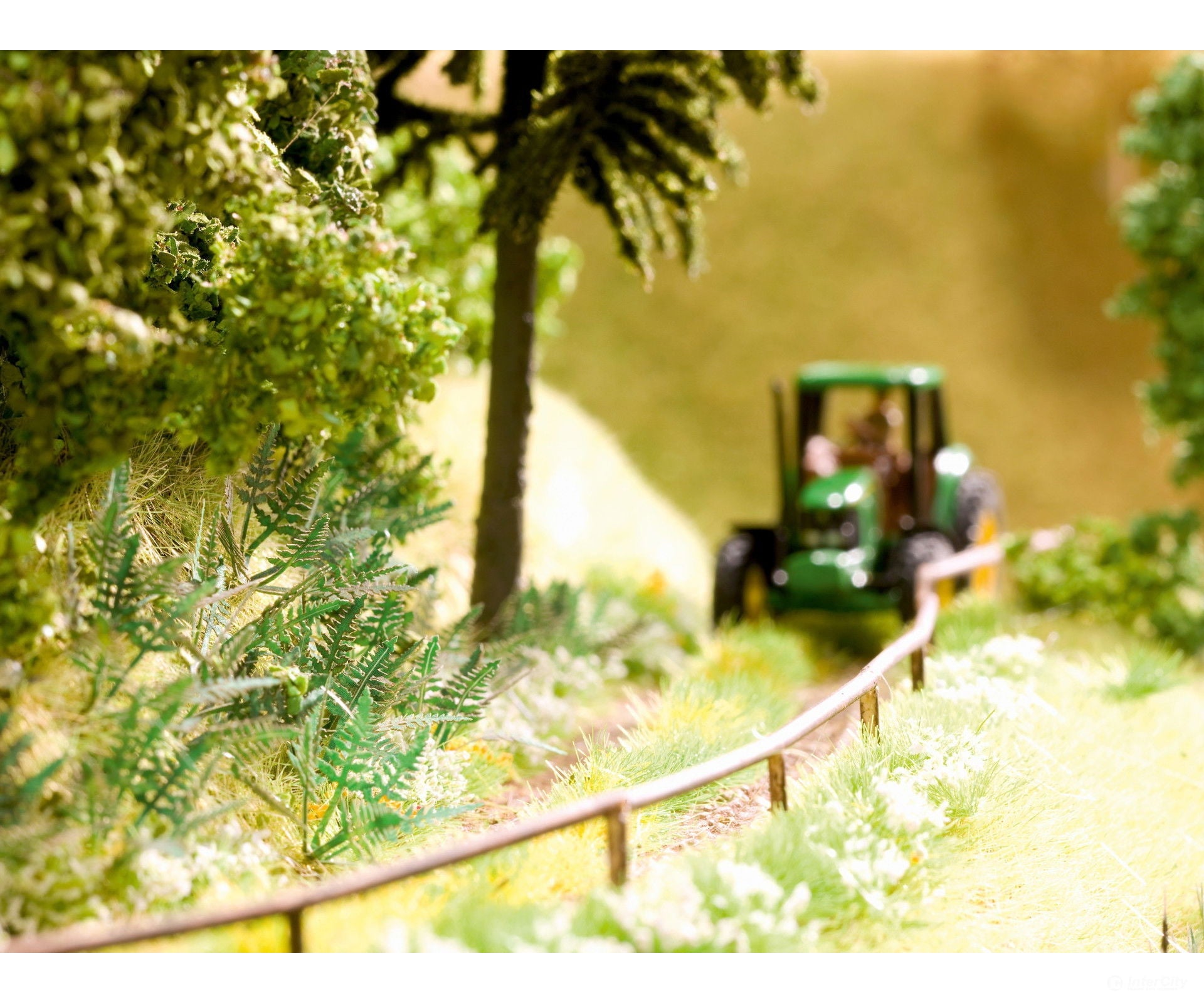 Noch 14606 N Fern Scenery Details