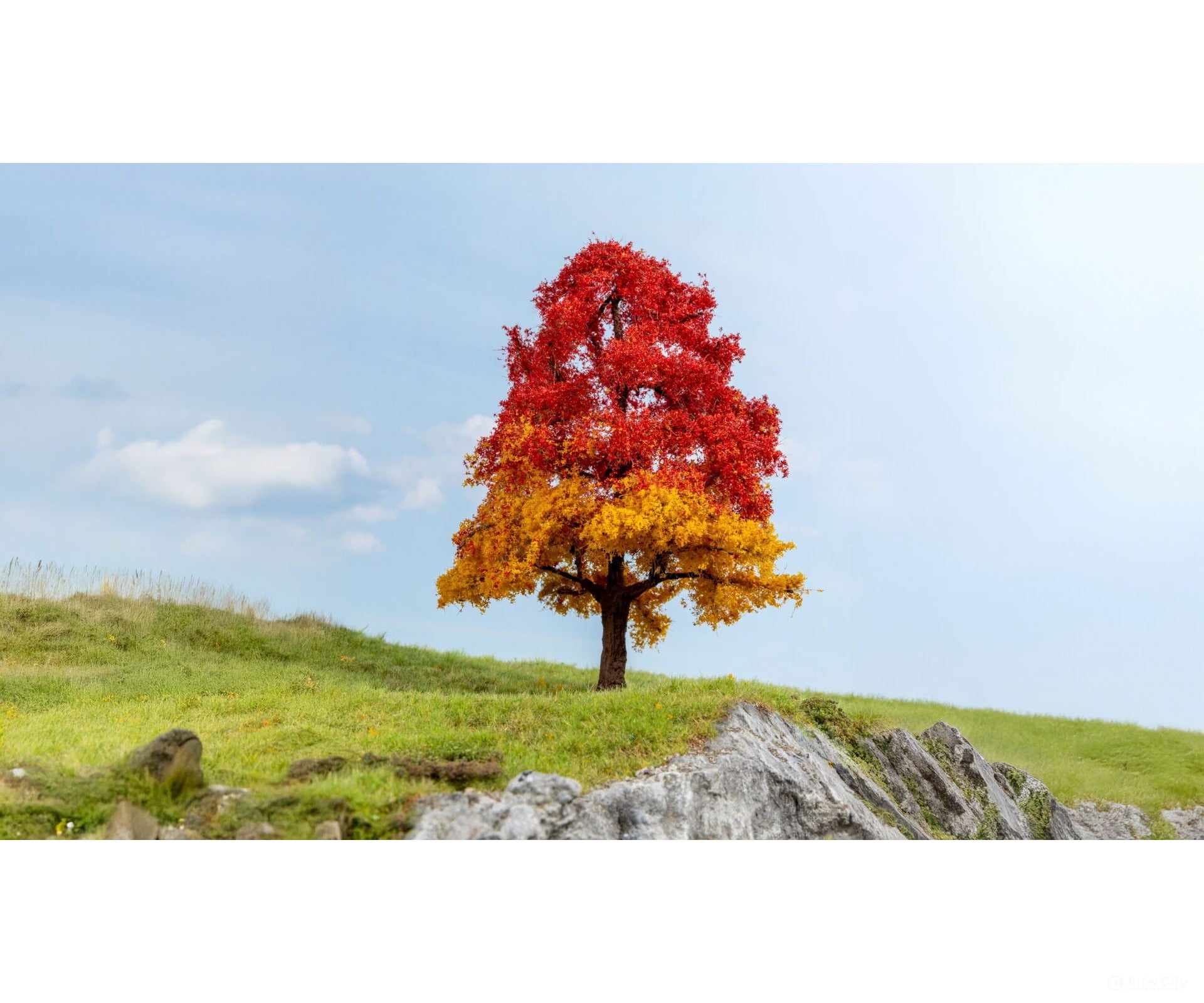 Noch 20114 HO N Oak Tree Autumn Trees & Vegetation