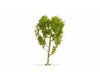 Noch 20125 NOCH Master Tree Downy Birch Tre Trees & Vegetation