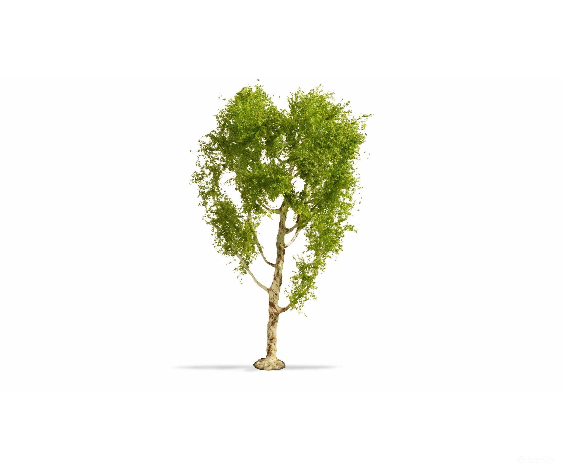 Noch 20125 NOCH Master Tree Downy Birch Tre Trees & Vegetation