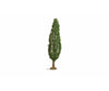 Noch 20130 NOCH Master Tree Popla Trees & Vegetation