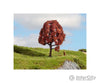 Noch 20151 HO N Z Copper Beech Trees & Vegetation