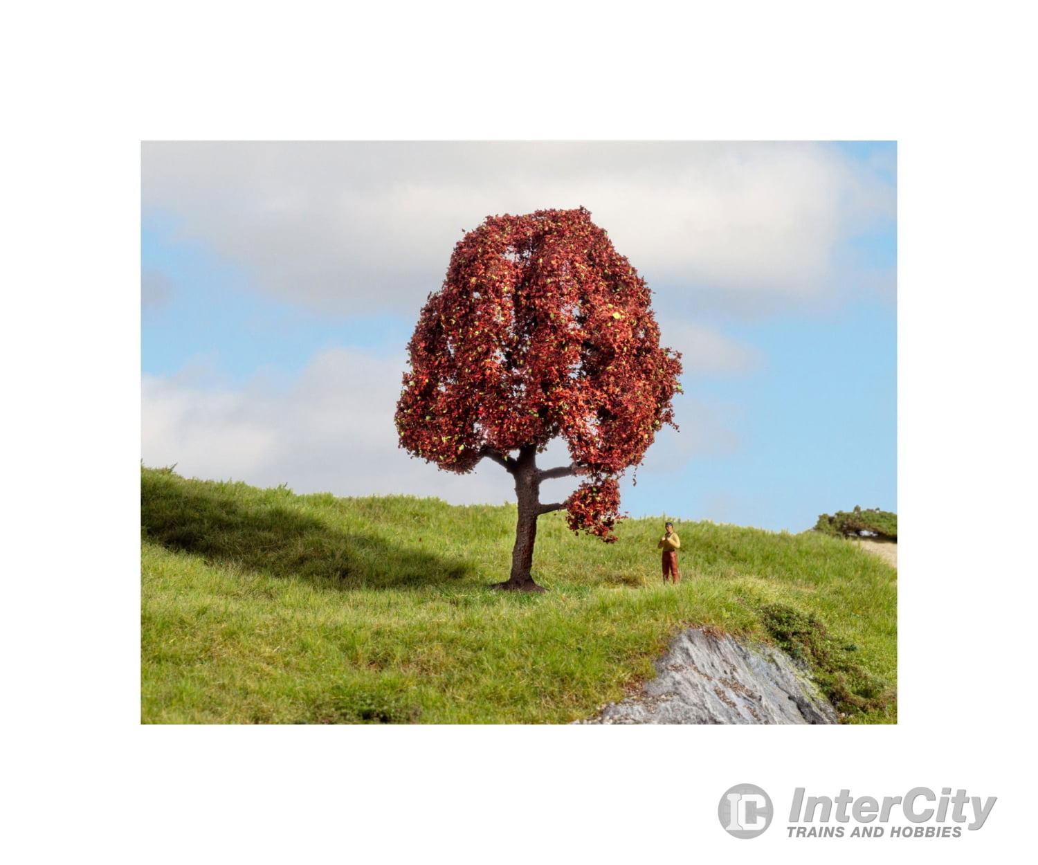 Noch 20151 HO N Z Copper Beech Trees & Vegetation