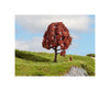 Noch 20151 HO N Z Copper Beech Trees & Vegetation