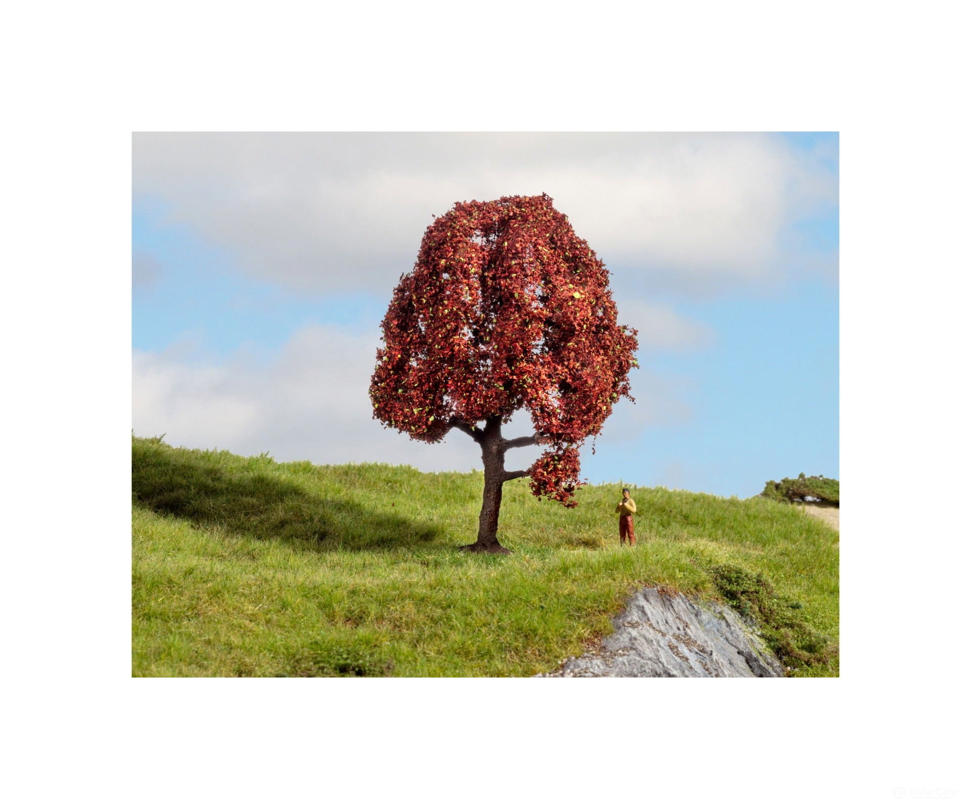 Noch 20151 HO N Z Copper Beech Trees & Vegetation
