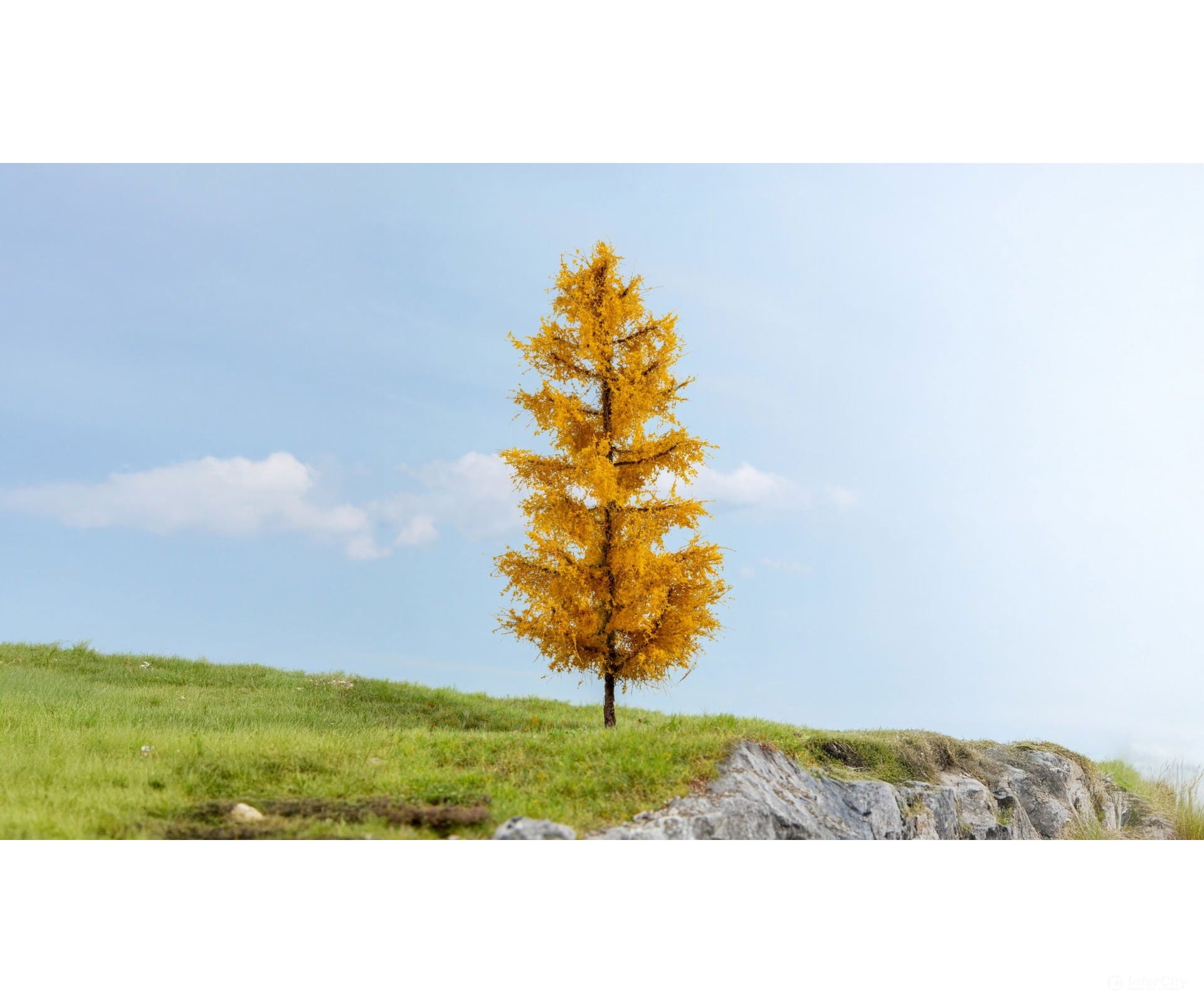 Noch 20167 HO N Z Larch Autumnal Trees & Vegetation
