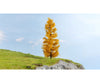 Noch 20169 HO N Z Larch Autumnal Trees & Vegetation