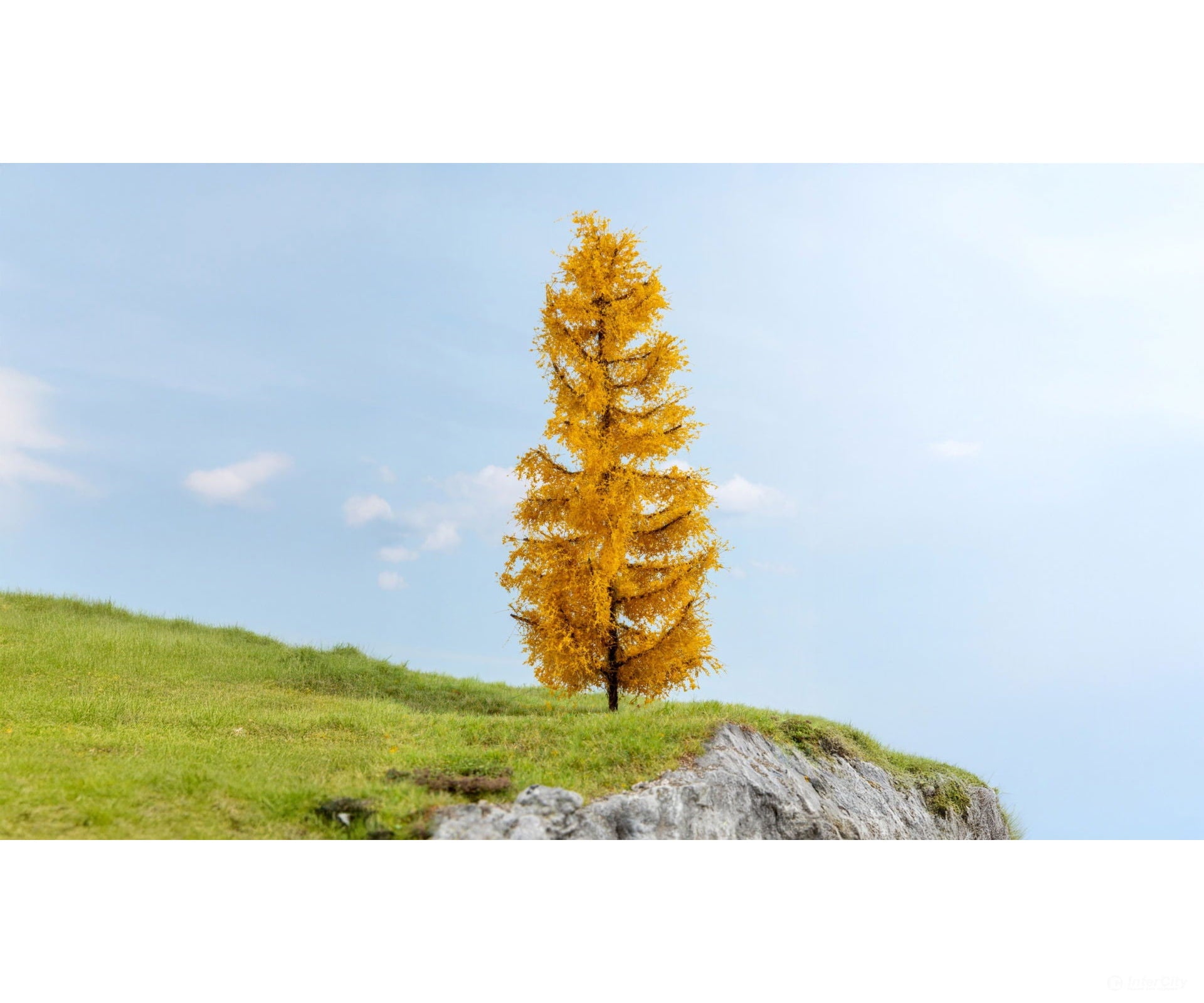 Noch 20169 HO N Z Larch Autumnal Trees & Vegetation
