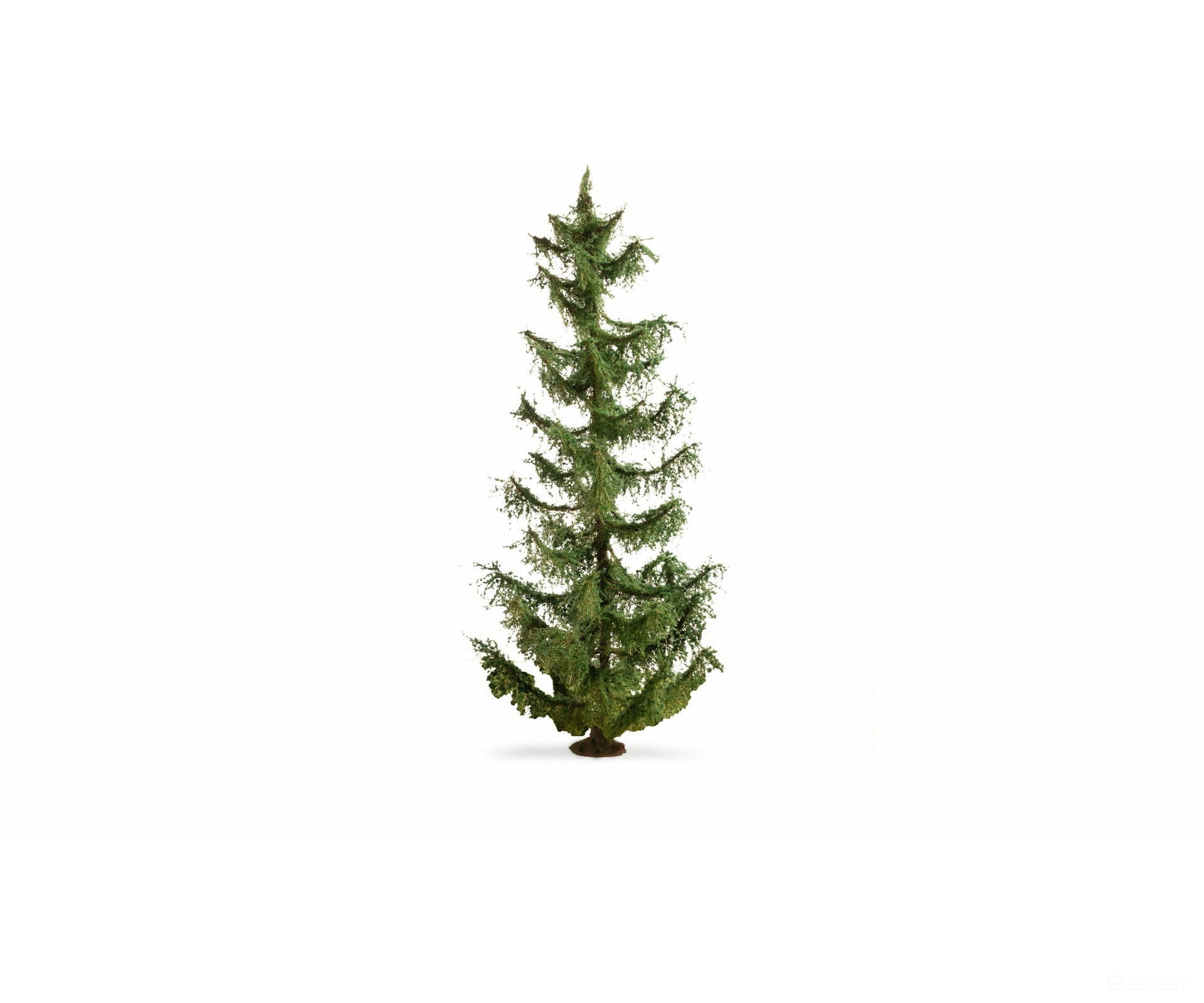 Noch 20191 NOCH Master tree Spruce Tre Trees & Vegetation