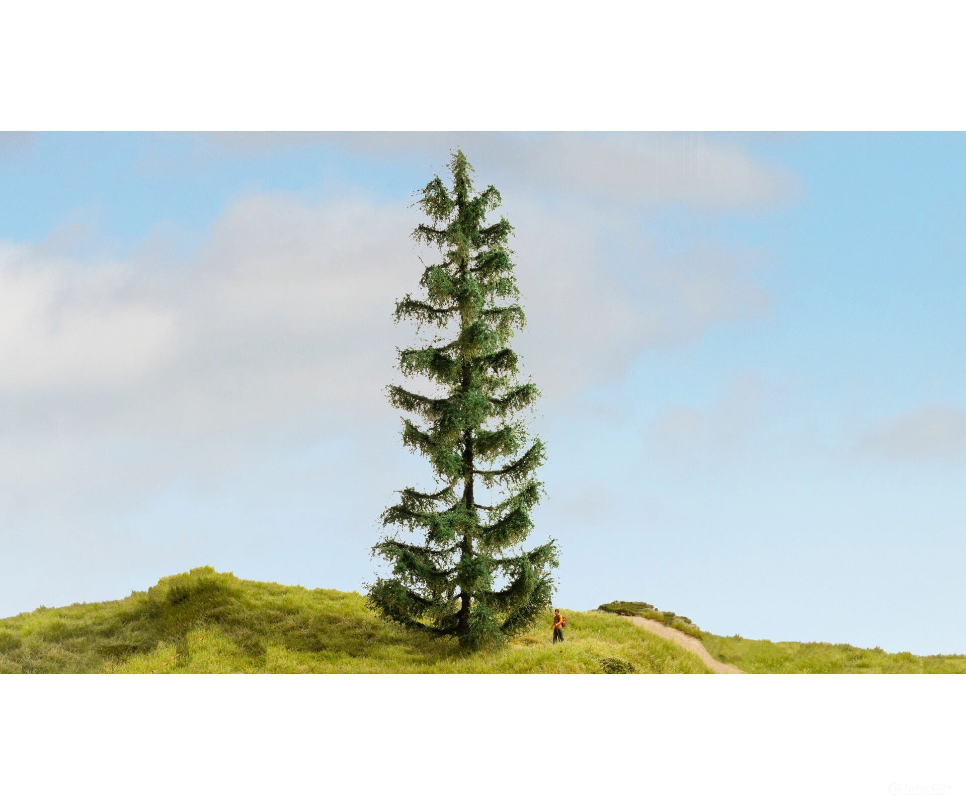 Noch 20192 NOCH Master tree Spruce Tre Trees & Vegetation