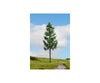 Noch 20197 HO N Z NOCH Master High Trunk Spuce Tree Trees & Vegetation