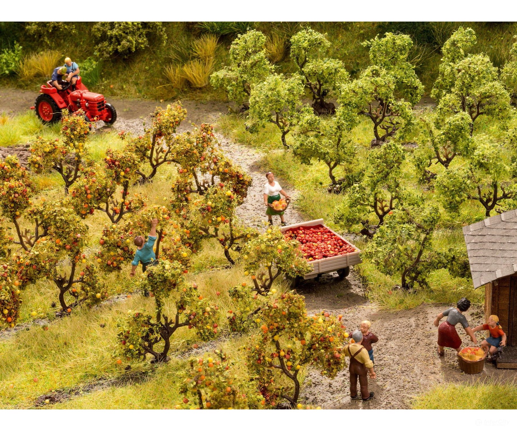 Noch 21532 HO TT Plantation Trees with Apples Trees & Vegetation