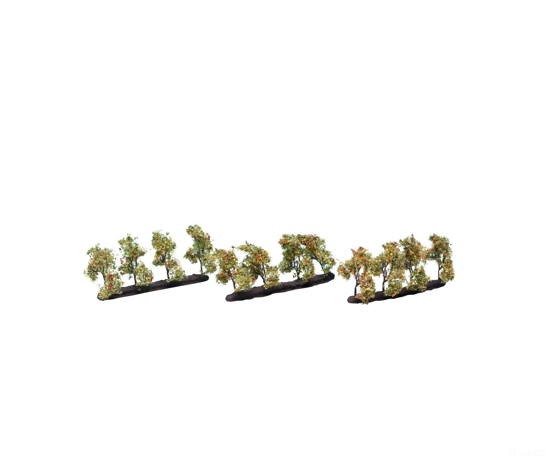 Noch 21537 N Z Plantation Trees with Apples Trees & Vegetation