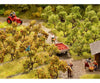 Noch 21537 N Z Plantation Trees with Apples Trees & Vegetation