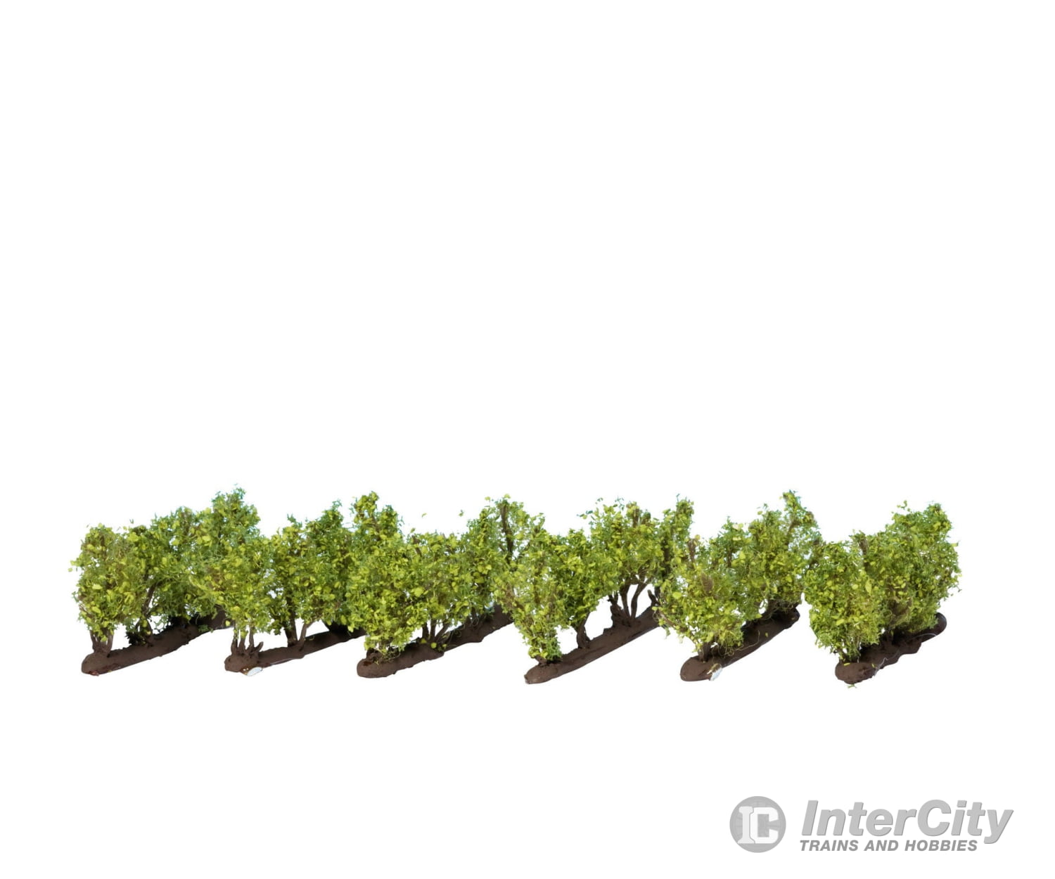 Noch 21545 N Z Grapevines Trees & Vegetation