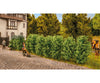 Noch 21547 HO TT N Thuja Hedge Trees & Vegetation