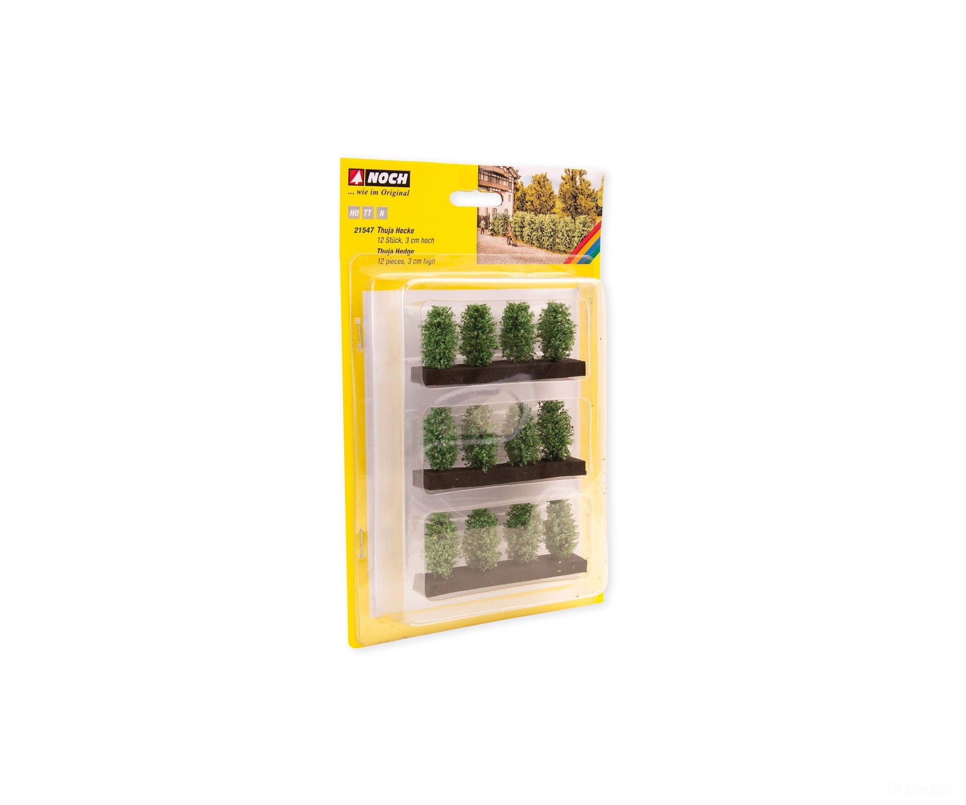 Noch 21547 HO TT N Thuja Hedge Trees & Vegetation