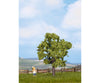 Noch 21550 HO TT N Fruit Tree green Trees & Vegetation