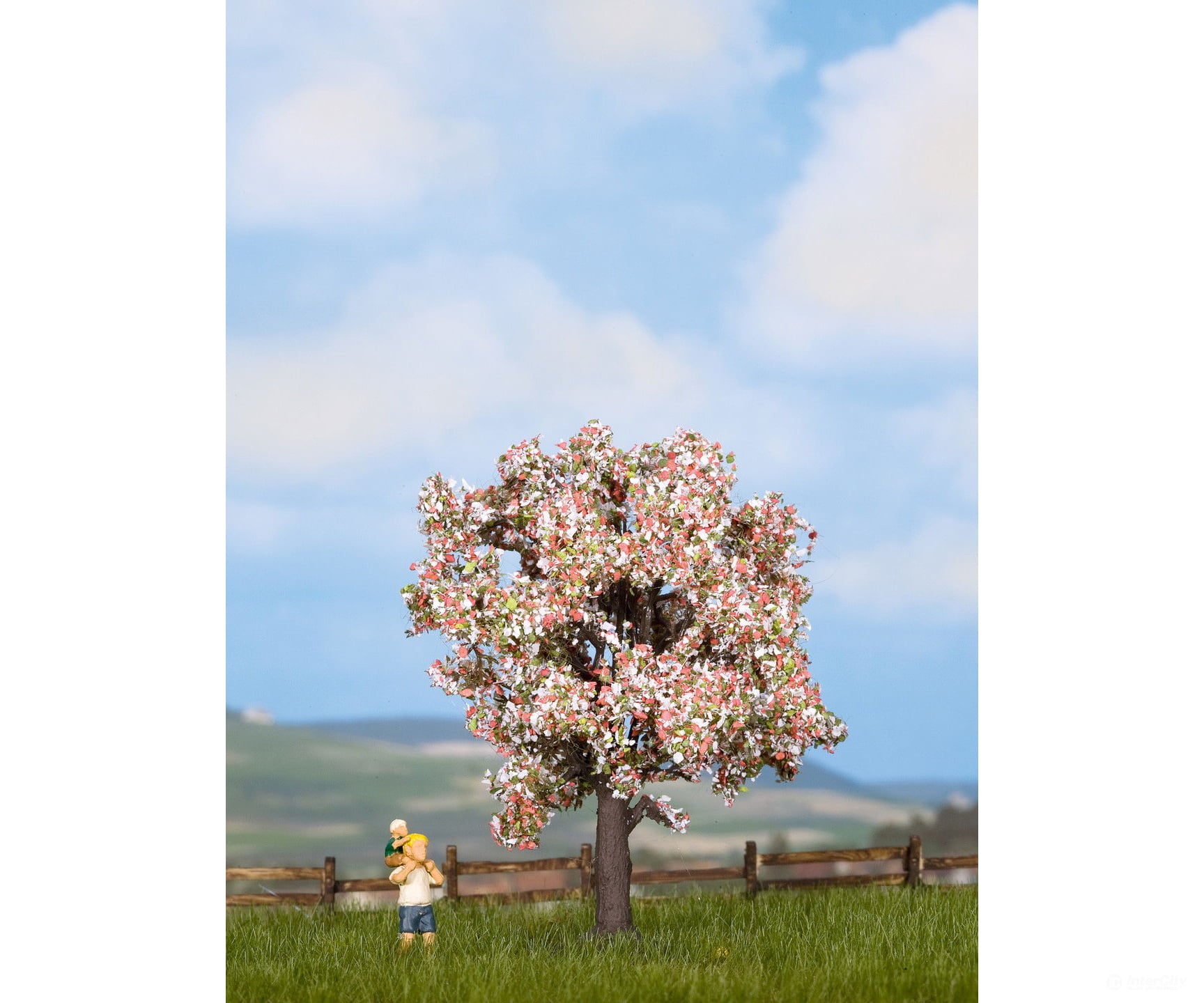 Noch 21570 HO TT N Fruit Tree Blossoming Trees & Vegetation