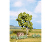 Noch 21640 HO TT N Birch Trees & Vegetation