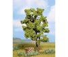 Noch 21660 HO TT N O Acacia Tree Trees & Vegetation