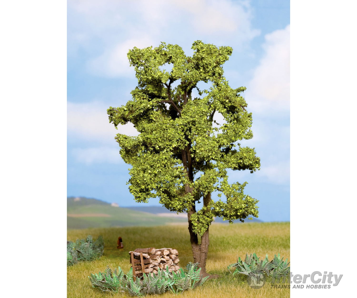 Noch 21660 HO TT N O Acacia Tree Trees & Vegetation