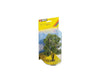 Noch 21660 HO TT N O Acacia Tree Trees & Vegetation