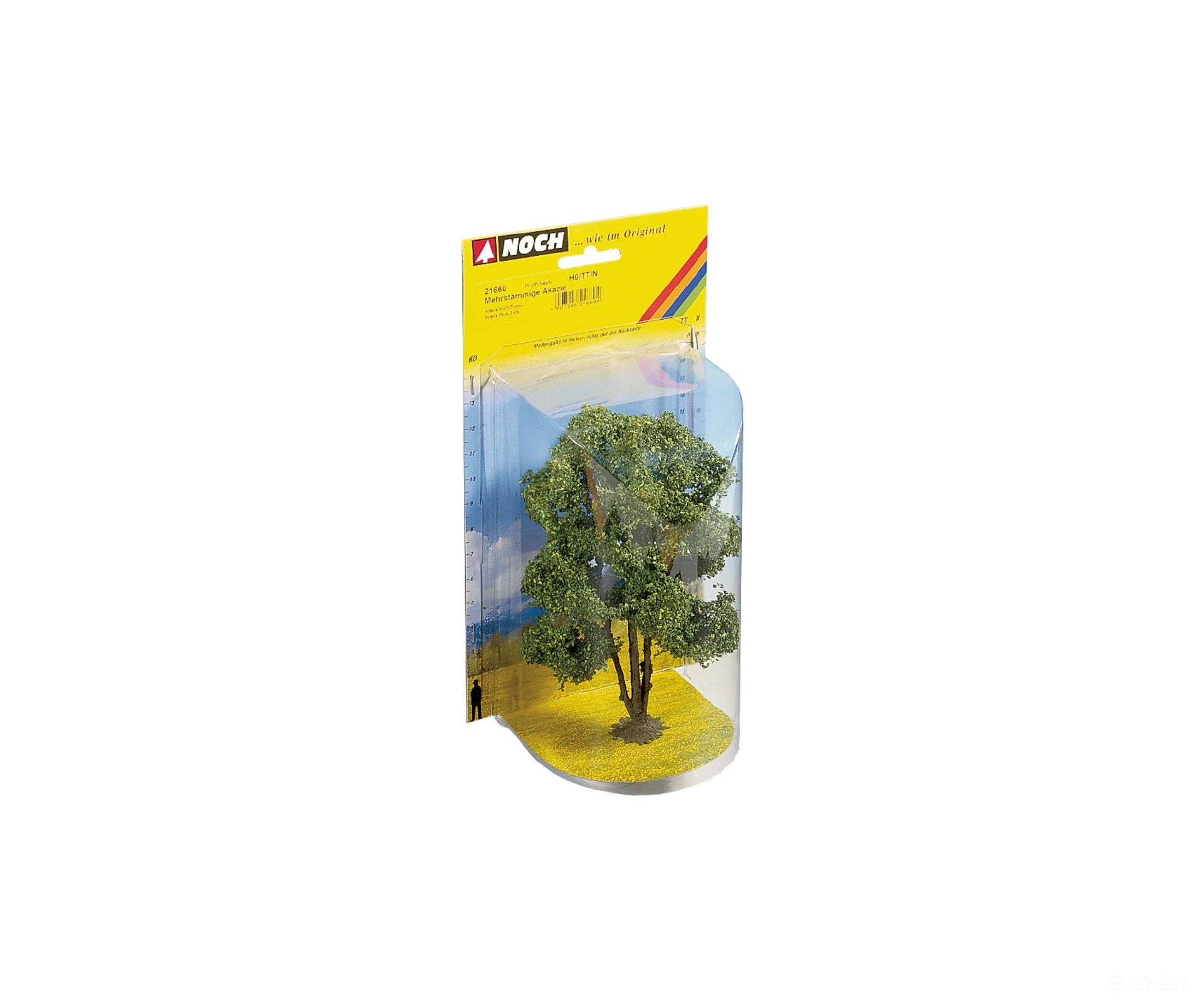 Noch 21660 HO TT N O Acacia Tree Trees & Vegetation