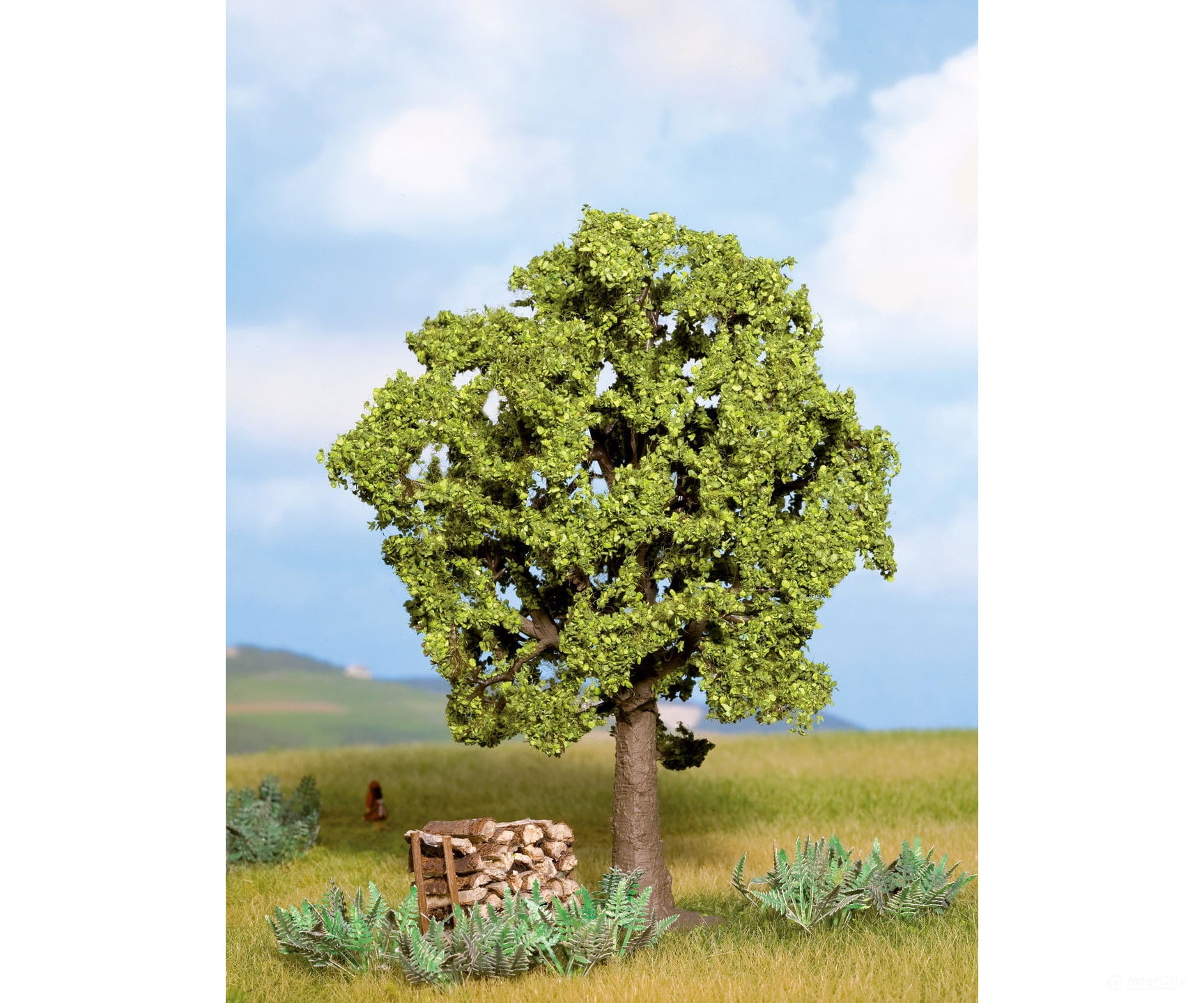 Noch 21690 HO TT N hornbeam Tree Trees & Vegetation