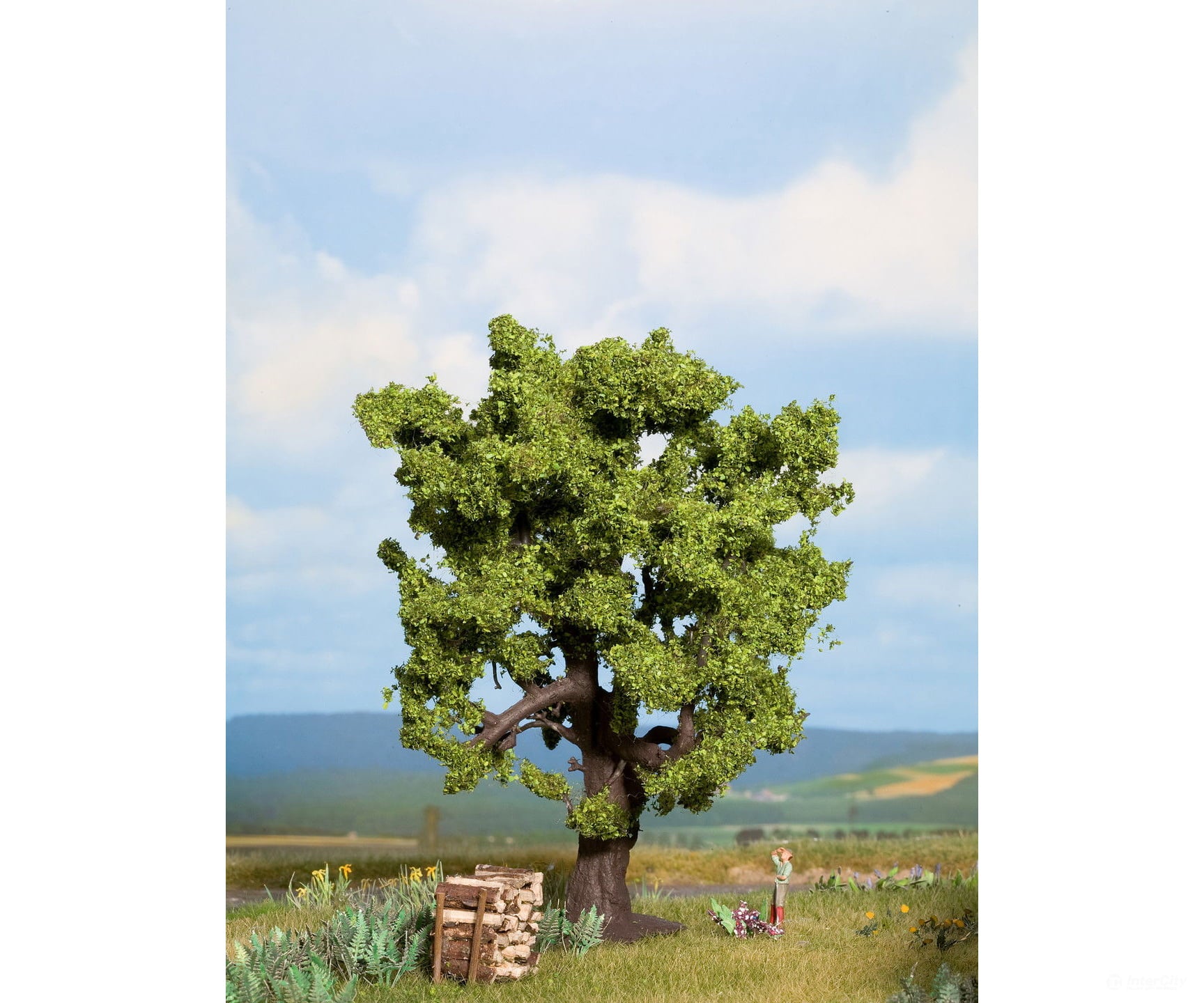 Noch 21760 HO TT N O Oak Trees & Vegetation