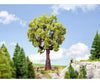 Noch 21761 HO O Oak Tree Trees & Vegetation