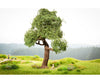 Noch 21768 HO micro-motion Tree with Swing Trees & Vegetation