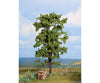 Noch 21780 HO TT N O Lime Tree Trees & Vegetation