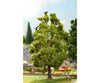 Noch 21782 HO O Lime Tree with Tweeting Birds Trees & Vegetation