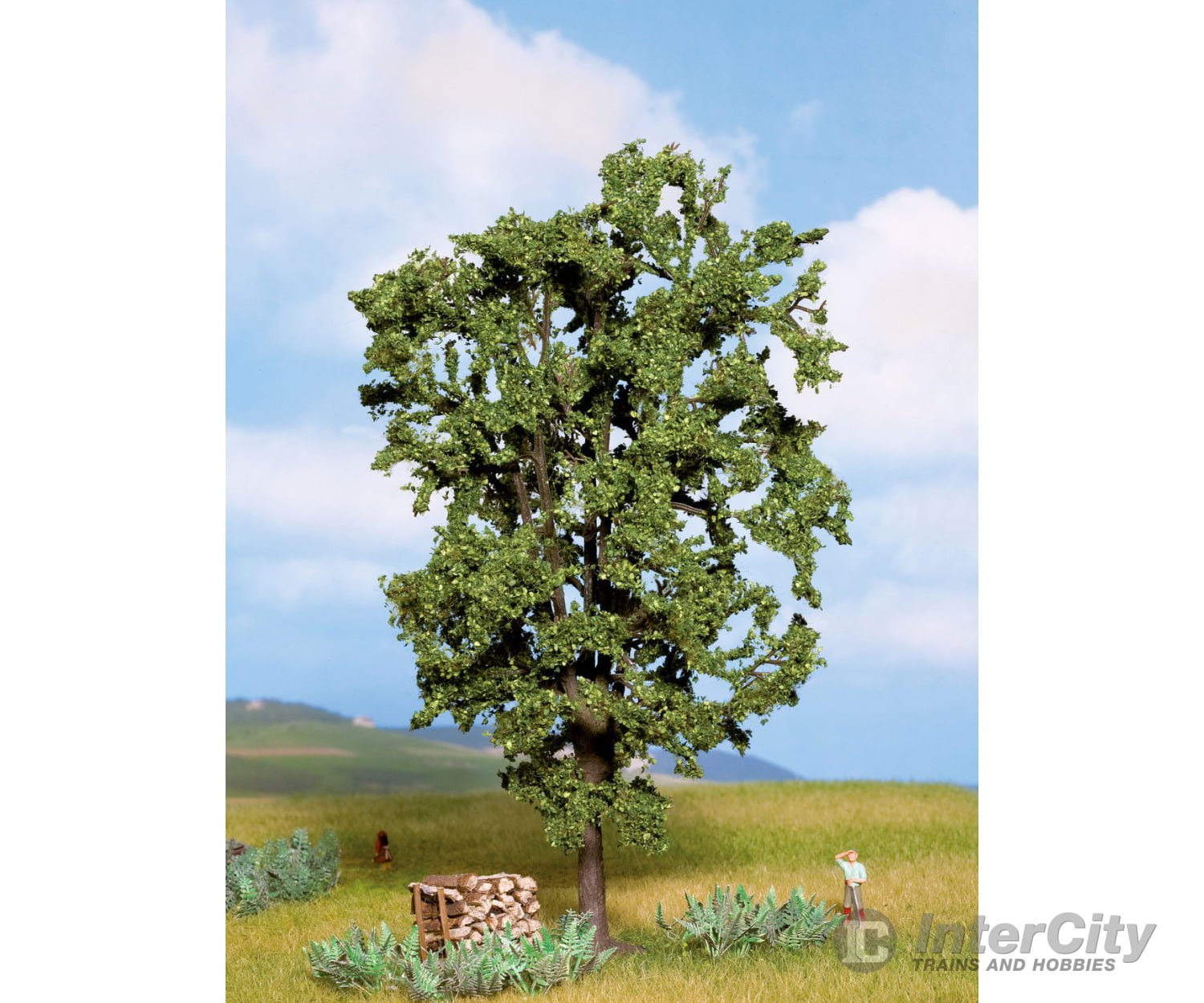 Noch 21800 HO TT N O Chestnut Tree Trees & Vegetation