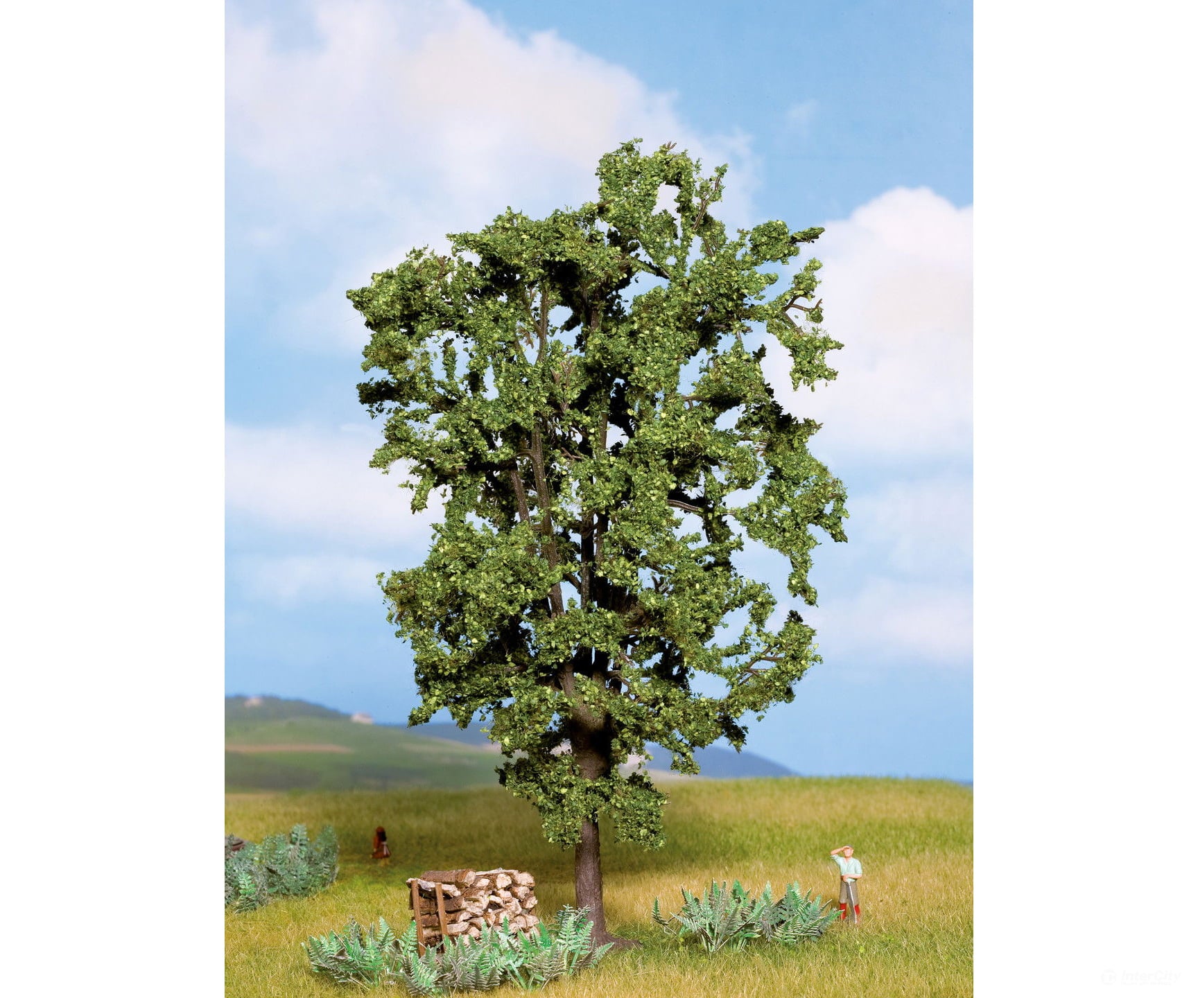 Noch 21800 HO TT N O Chestnut Tree Trees & Vegetation