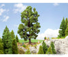 Noch 21802 HO O Chestnut Tree Trees & Vegetation