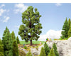 Noch 21802 HO O Chestnut Tree Trees & Vegetation