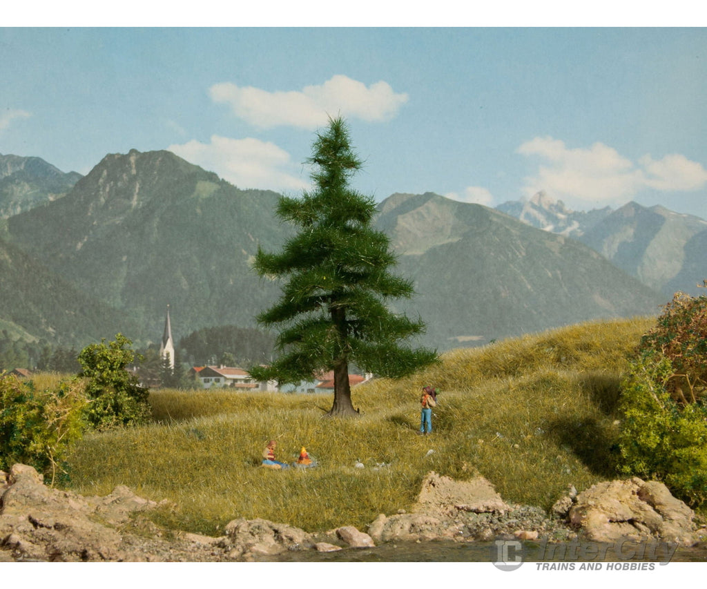 Noch 21810 HO TT N Nordmann Fir Tree Trees & Vegetation
