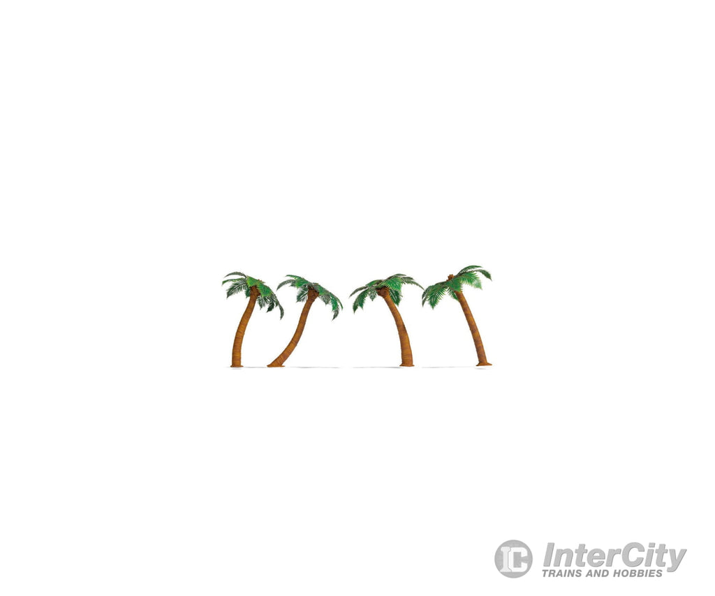 Noch 21973 HO TT N Palm Trees Trees & Vegetation
