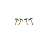 Noch 21973 HO TT N Palm Trees Trees & Vegetation