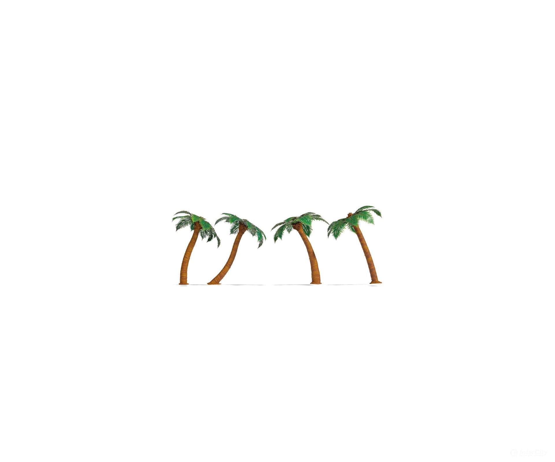 Noch 21973 HO TT N Palm Trees Trees & Vegetation