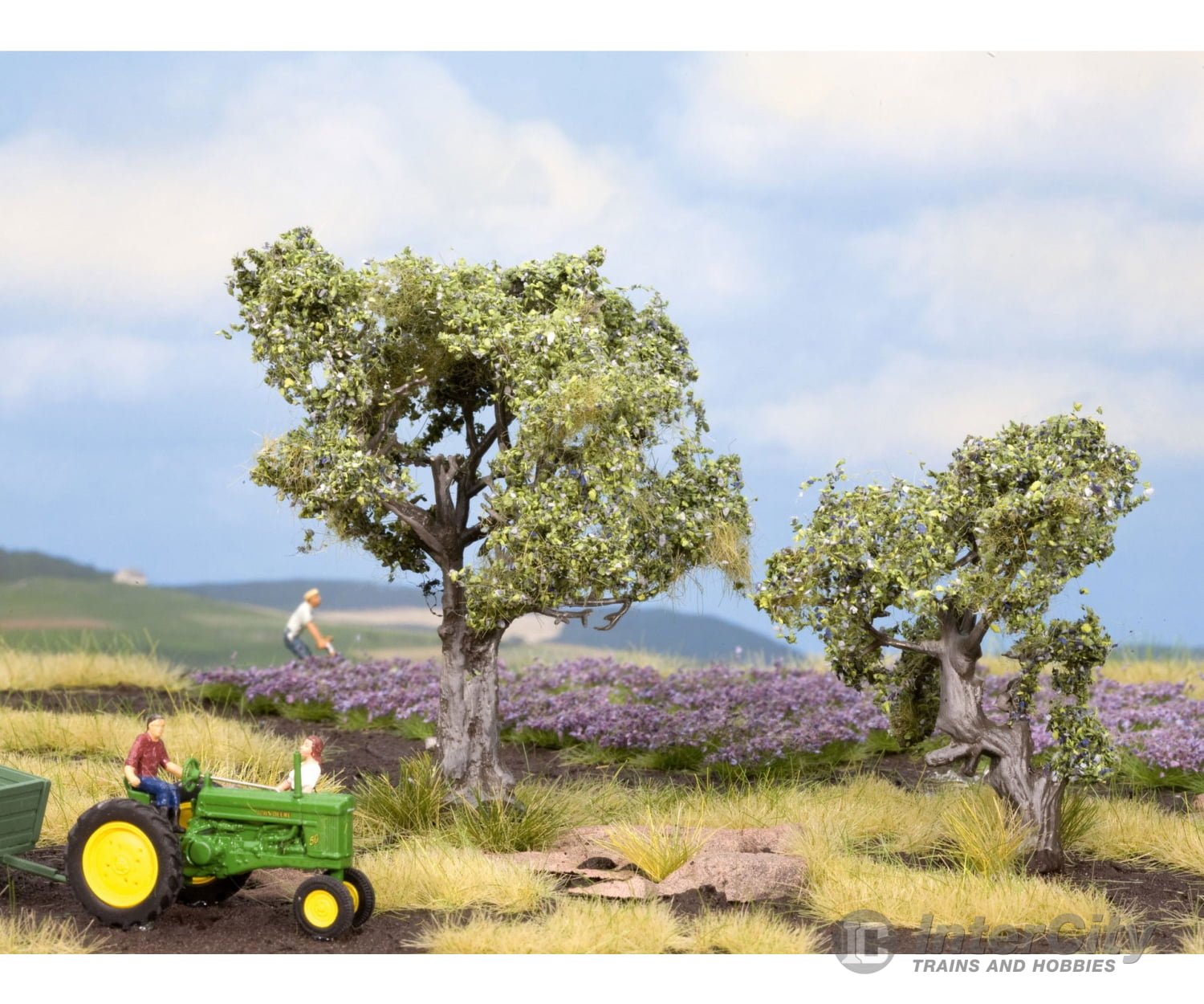 Noch 21995 HO TT Olive Trees Trees & Vegetation