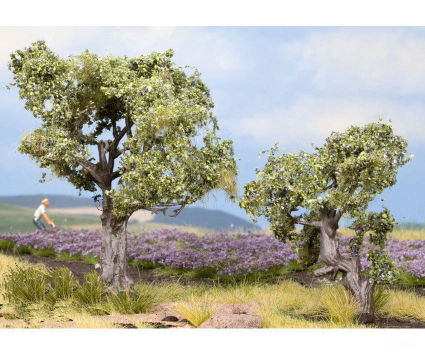 Noch 21995 HO TT Olive Trees Trees & Vegetation